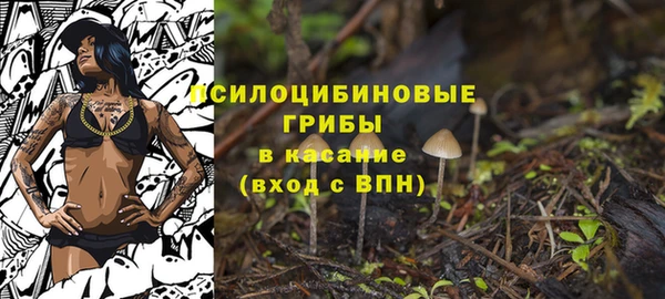 гидропоника Слюдянка