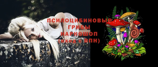 стафф Снежногорск