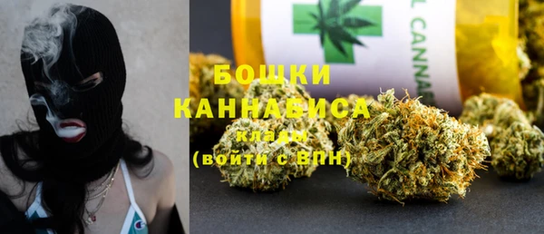 стафф Снежногорск